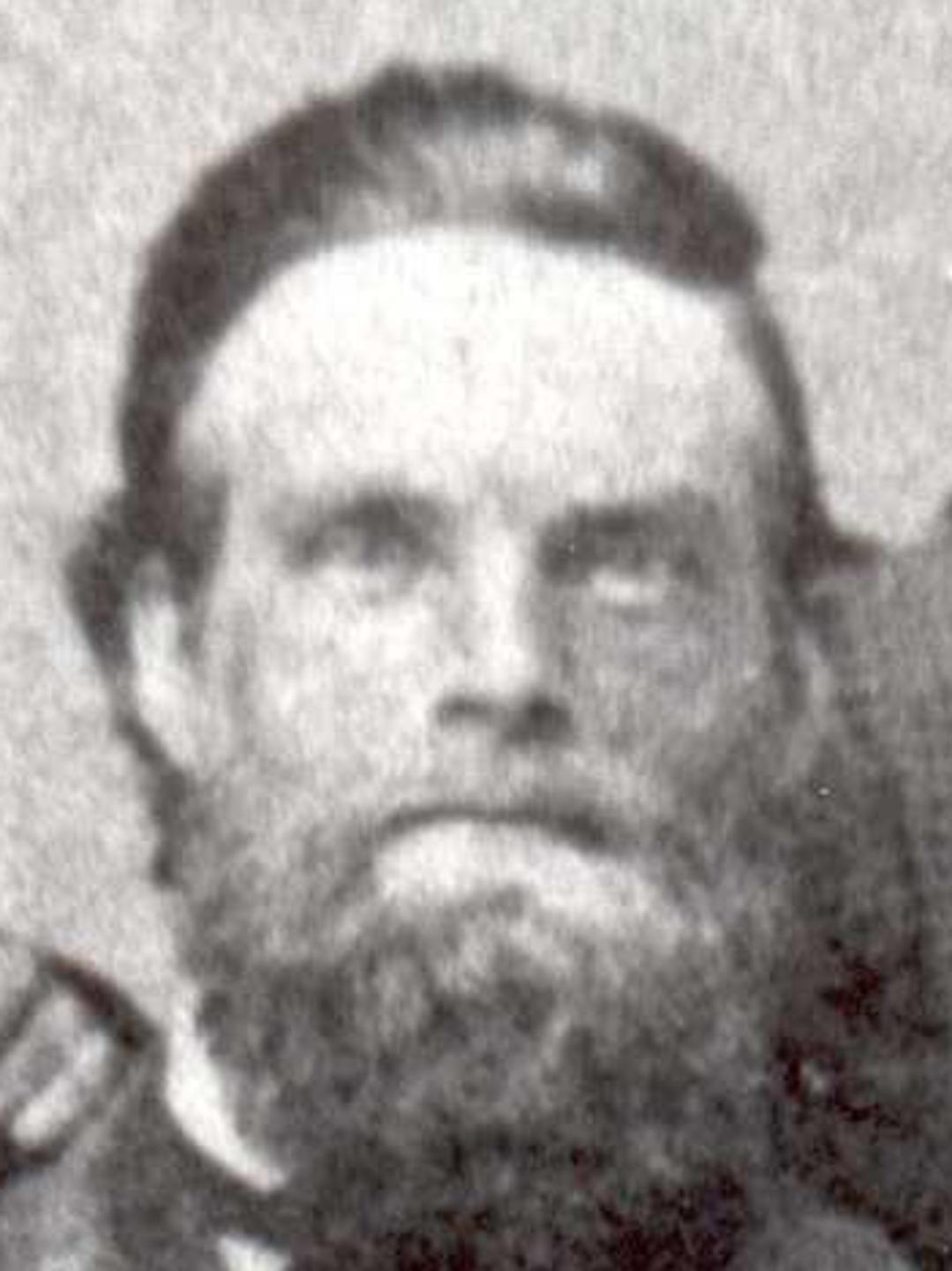 Henry Folland (1824 - 1900) Profile